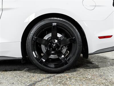 2019 Ford Mustang GT  Supercharged - Photo 15 - Peoria, IL 61615