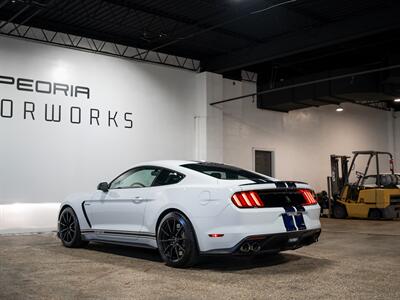 2016 Ford Mustang Shelby GT350   - Photo 9 - Peoria, IL 61615