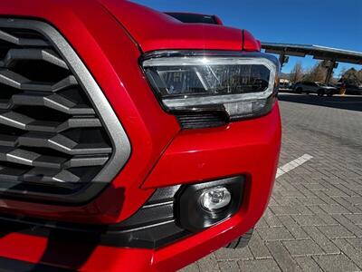 2023 Toyota Tacoma TRD Off-Road Crewcab - Photo 19 - Santa Fe, NM 87505