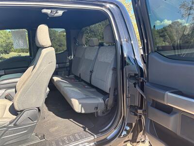 2024 Ford F-150 XLT   - Photo 10 - Santa Fe, NM 87505