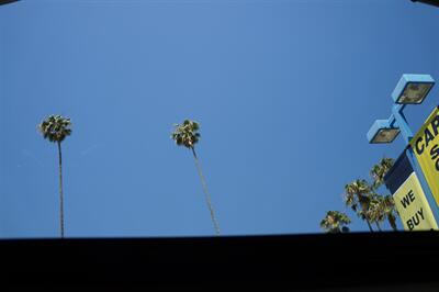 2018 Honda CR-V EX-L w/Navi - Photo 15 - Pasadena, CA 91107