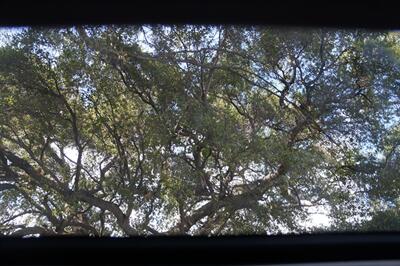 2011 BMW 3 Series 335i   - Photo 13 - Pasadena, CA 91107