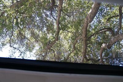 2018 Subaru Outback 2.5i Limited - Photo 15 - Pasadena, CA 91107