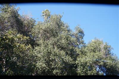 2019 BMW 4 Series 430i Gran Coupe - Photo 16 - Pasadena, CA 91107