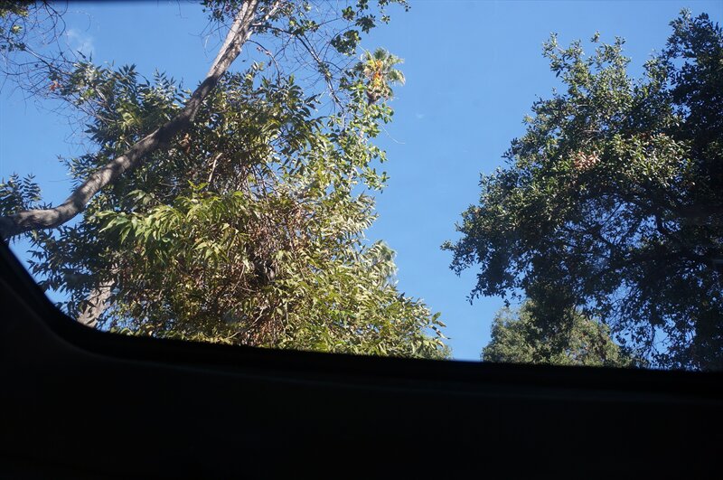 View 17
