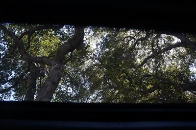 2018 Honda Civic EX - Photo 12 - Pasadena, CA 91107