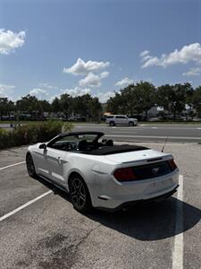 2020 Ford Mustang EcoBoost Premium   - Photo 8 - Orlando, FL 32804