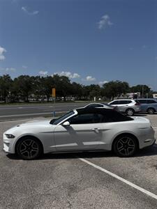 2020 Ford Mustang EcoBoost Premium   - Photo 5 - Orlando, FL 32804