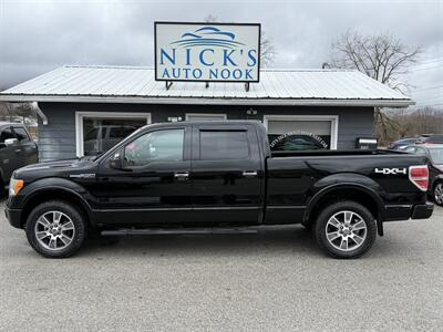 2009 Ford F-150 Platinum  