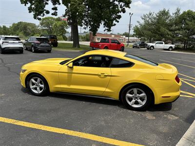 2016 Ford Mustang EcoBoost   - Photo 4 - Elkhart, IN 46514