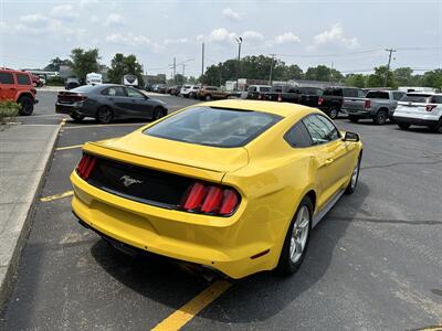 2016 Ford Mustang EcoBoost   - Photo 7 - Elkhart, IN 46514