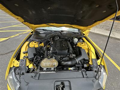 2016 Ford Mustang EcoBoost   - Photo 30 - Elkhart, IN 46514