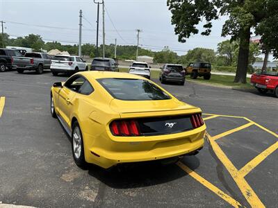 2016 Ford Mustang EcoBoost   - Photo 5 - Elkhart, IN 46514