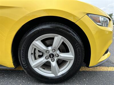 2016 Ford Mustang EcoBoost   - Photo 15 - Elkhart, IN 46514
