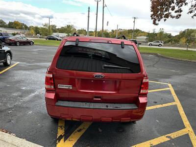 2011 Ford Escape XLT   - Photo 5 - Elkhart, IN 46514