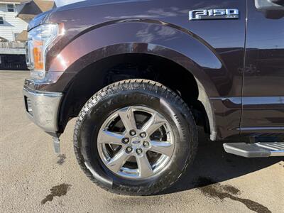 2019 Ford F-150 XLT   - Photo 9 - Elkhart, IN 46514