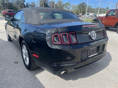 2014 Ford Mustang V6   - Photo 10 - New Port Richey, FL 34652