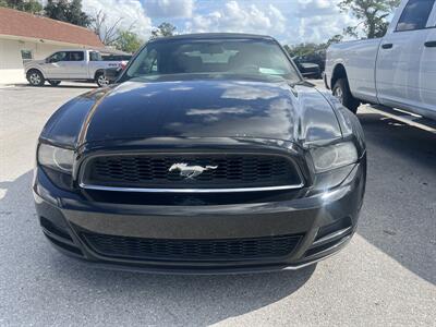 2014 Ford Mustang V6   - Photo 14 - New Port Richey, FL 34652