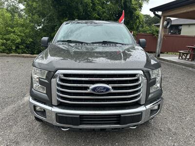 2015 Ford F-150 XL   - Photo 2 - Hopkinsville, KY 42240