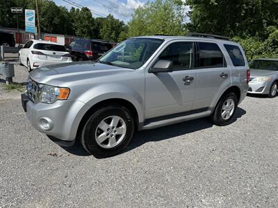 2009 Ford Escape XLT   - Photo 3 - Hopkinsville, KY 42240