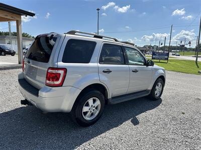 2009 Ford Escape XLT   - Photo 6 - Hopkinsville, KY 42240