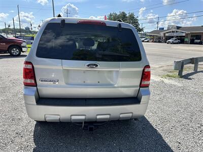 2009 Ford Escape XLT   - Photo 5 - Hopkinsville, KY 42240