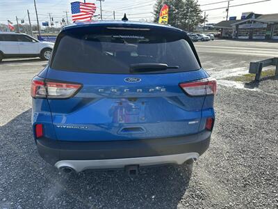 2020 Ford Escape Titanium   - Photo 5 - Hopkinsville, KY 42240