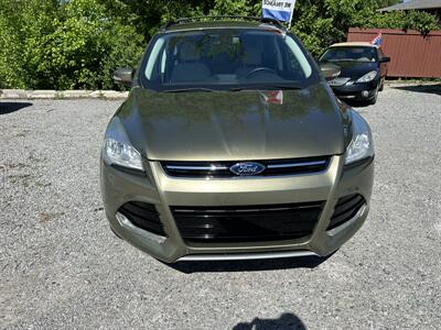 2013 Ford Escape SEL   - Photo 2 - Hopkinsville, KY 42240