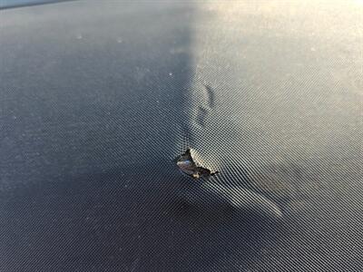 1973 Mercury Cougar XR7 - Photo 13 - Auburn, IN 46706