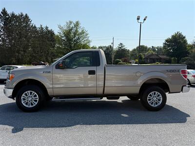 2013 Ford F-150 XLT Truck