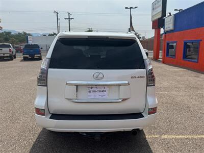 2014 Lexus GX 460 - Photo 5 - Albuquerque, NM 87107