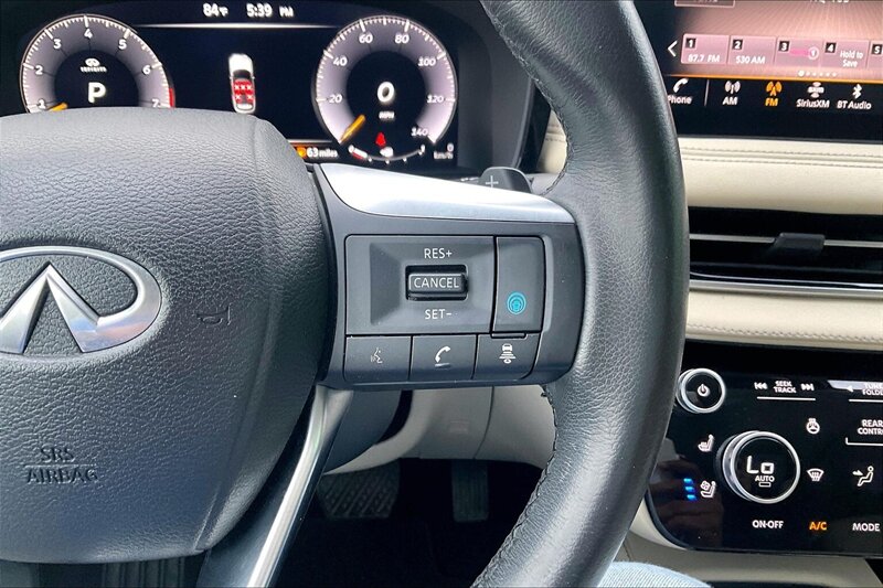 2022 INFINITI QX60 Luxe - Photo 18 - Ponce, AL 00717