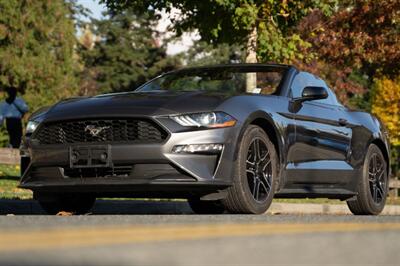 2023 Ford Mustang EcoBoost Premium  