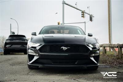 2019 Ford Mustang EcoBoost Coupe