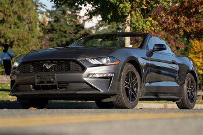 2023 Ford Mustang EcoBoost Premium   - Photo 1 - Surrey, BC V4N 0V9