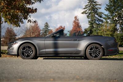 2023 Ford Mustang EcoBoost Premium   - Photo 5 - Surrey, BC V4N 0V9