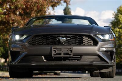 2023 Ford Mustang EcoBoost Premium   - Photo 3 - Surrey, BC V4N 0V9