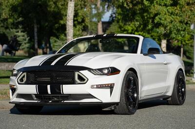 2019 Ford Mustang EcoBoost Premium   - Photo 1 - Surrey, BC V4N 0V9