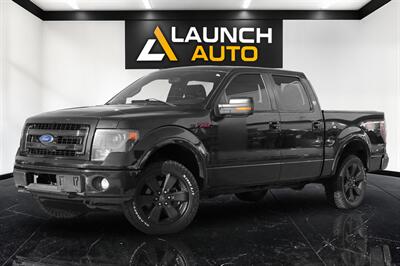 2013 Ford F-150 FX4 Truck