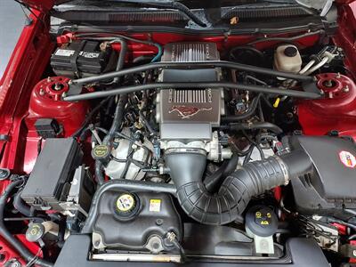 2008 Ford Mustang GT Deluxe COUPE - Photo 22 - Rochelle, IL 61068