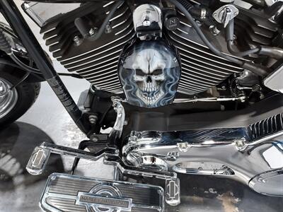 2006 Harley-Davidson Custom FATBOY   - Photo 13 - Rochelle, IL 61068