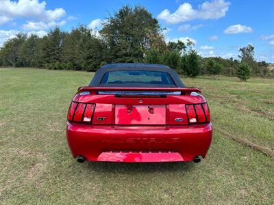 2002 Ford Mustang GT Deluxe   - Photo 5 - Albany, GA 31721