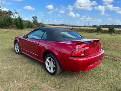 2002 Ford Mustang GT Deluxe   - Photo 3 - Albany, GA 31721