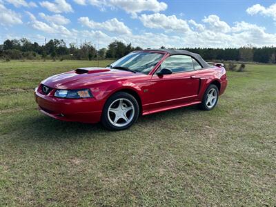 2002 Ford Mustang GT Deluxe   - Photo 4 - Albany, GA 31721