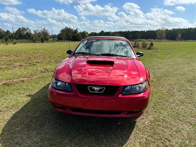 2002 Ford Mustang GT Deluxe   - Photo 6 - Albany, GA 31721