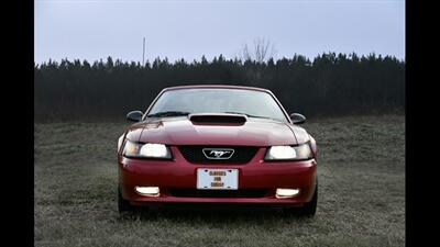 2002 Ford Mustang GT Deluxe Convertible