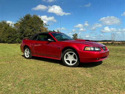 2002 Ford Mustang GT Deluxe   - Photo 7 - Albany, GA 31721