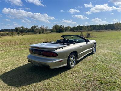 1999 Pontiac Firebird Trans Am   - Photo 12 - Albany, GA 31721