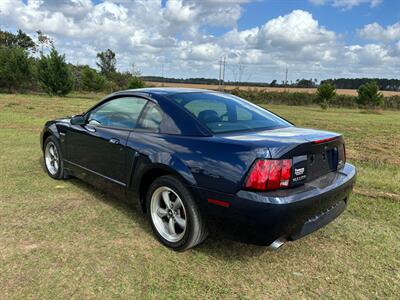 2001 Ford Mustang Bullitt   - Photo 3 - Albany, GA 31721