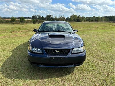 2001 Ford Mustang Bullitt   - Photo 8 - Albany, GA 31721